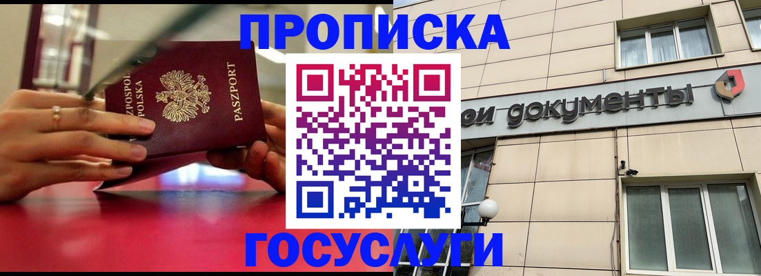 временная регистрация недорого в Камчатском крае